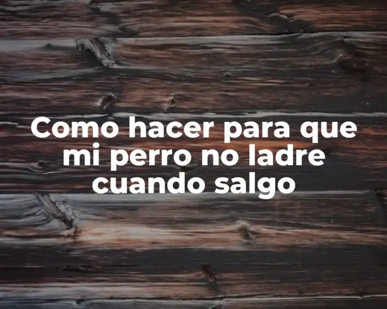 Como hacer para que mi perro no ladre cuando salgo