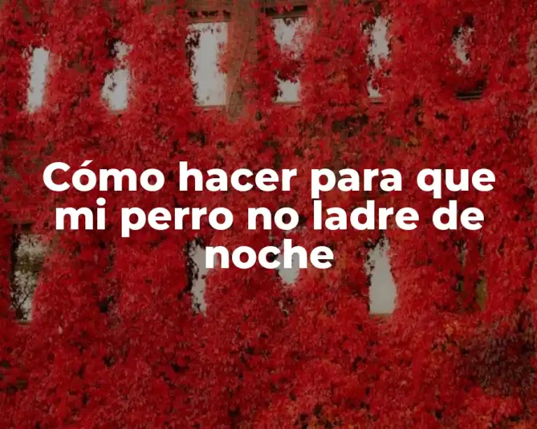 Cómo hacer para que mi perro no ladre de noche