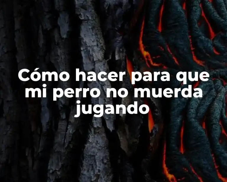 Cómo hacer para que mi perro no muerda jugando