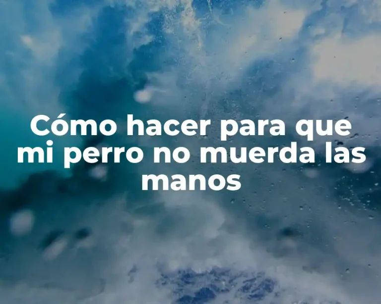 Cómo hacer para que mi perro no muerda las manos