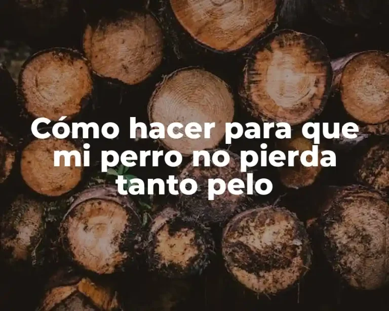 Cómo hacer para que mi perro no pierda tanto pelo