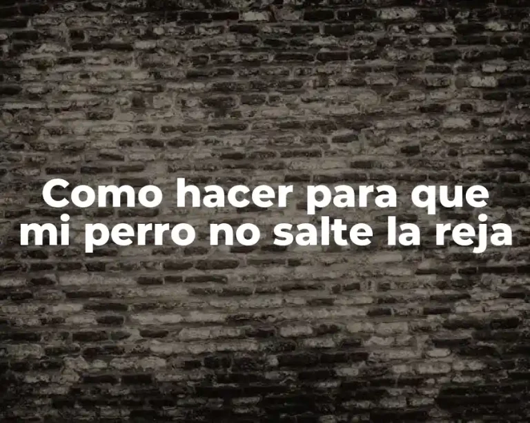 Como hacer para que mi perro no salte la reja