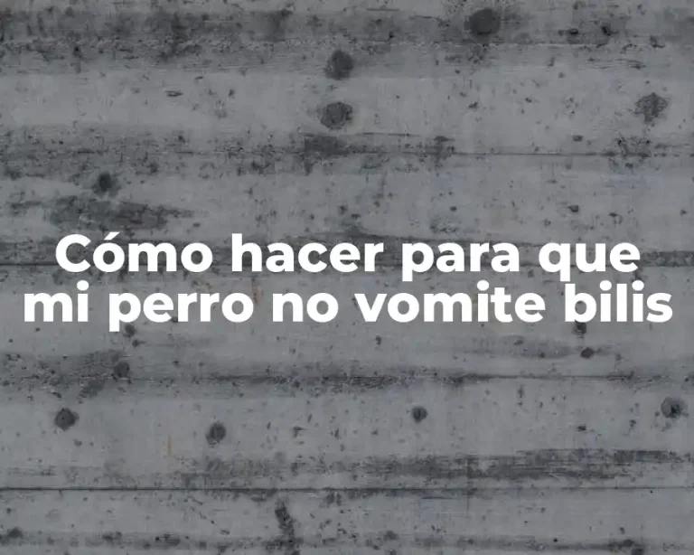Cómo hacer para que mi perro no vomite bilis