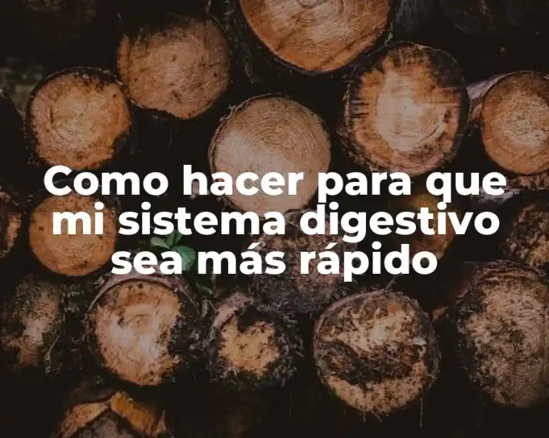 Como hacer para que mi sistema digestivo sea más rápido