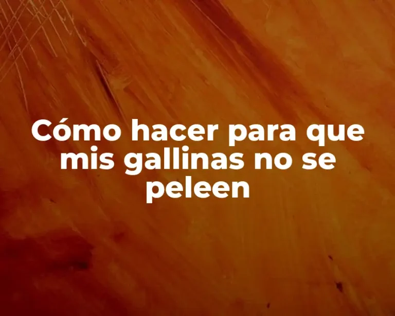 Cómo hacer para que mis gallinas no se peleen