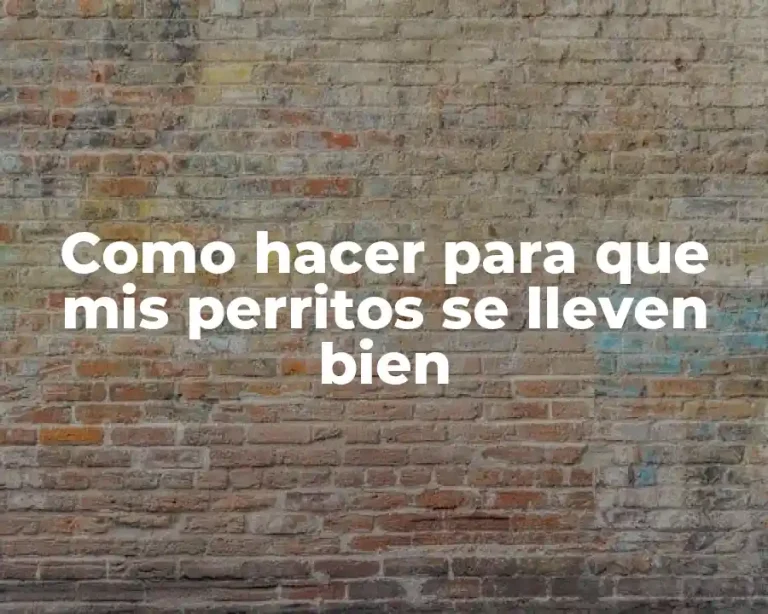 Como hacer para que mis perritos se lleven bien