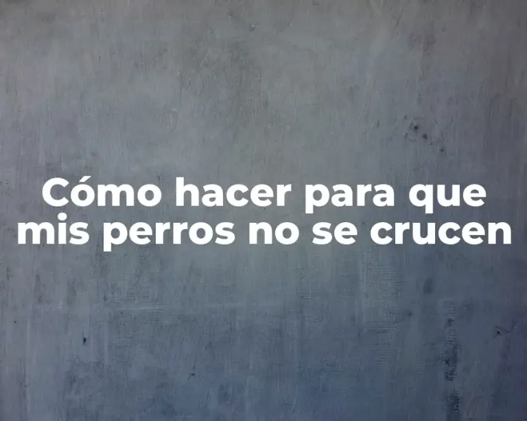 Cómo hacer para que mis perros no se crucen