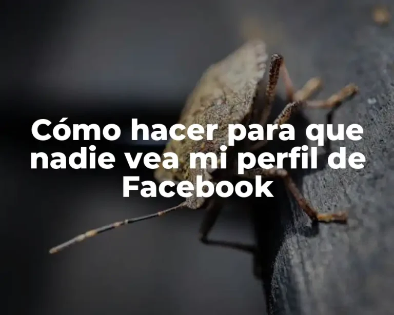 Cómo hacer para que nadie vea mi perfil de Facebook