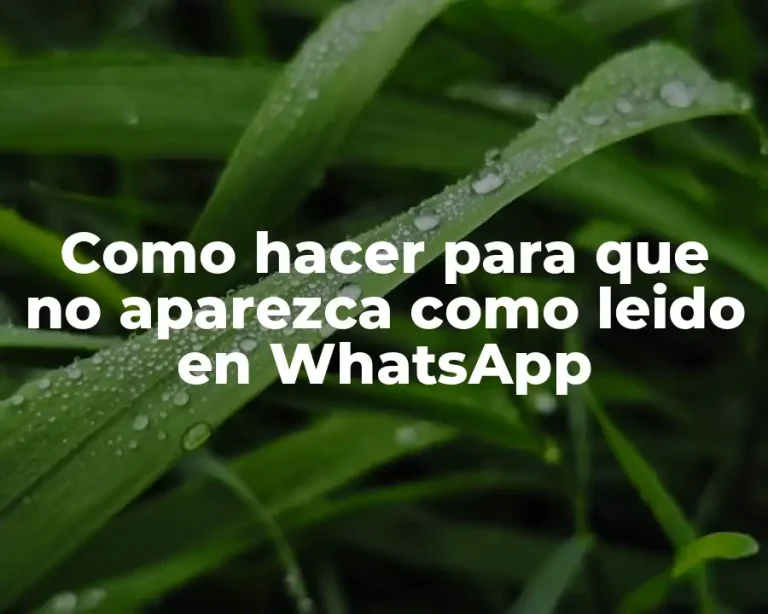 Como hacer para que no aparezca como leido en WhatsApp