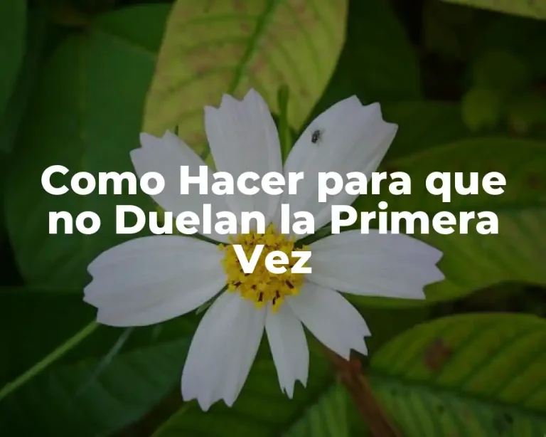 Como Hacer para que no Duelan la Primera Vez