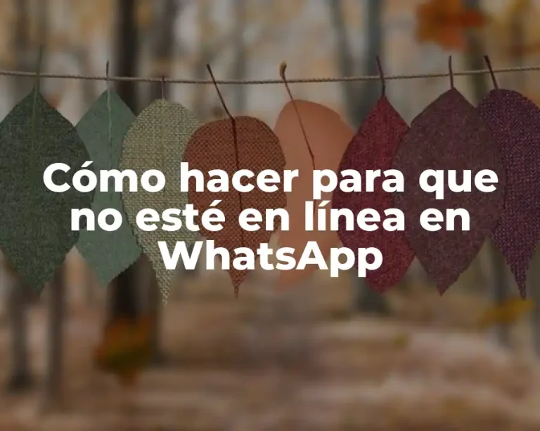 Cómo hacer para que no esté en línea en WhatsApp