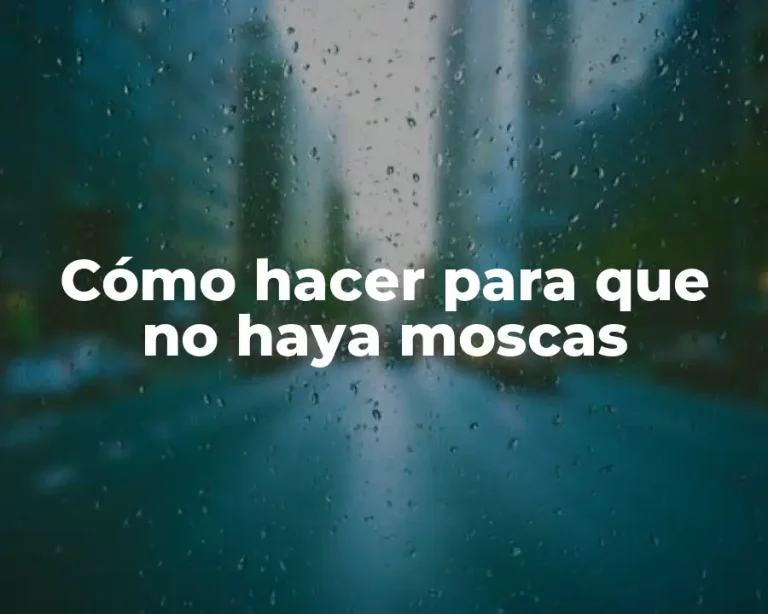 Cómo hacer para que no haya moscas