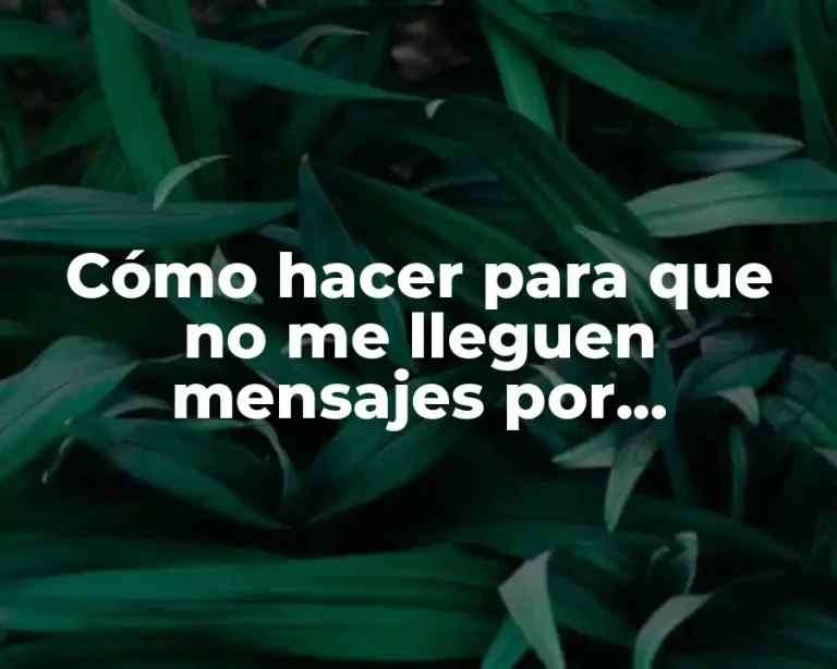 Cómo hacer para que no me lleguen mensajes por WhatsApp