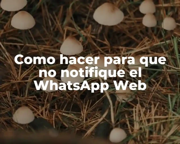 Como hacer para que no notifique el WhatsApp Web