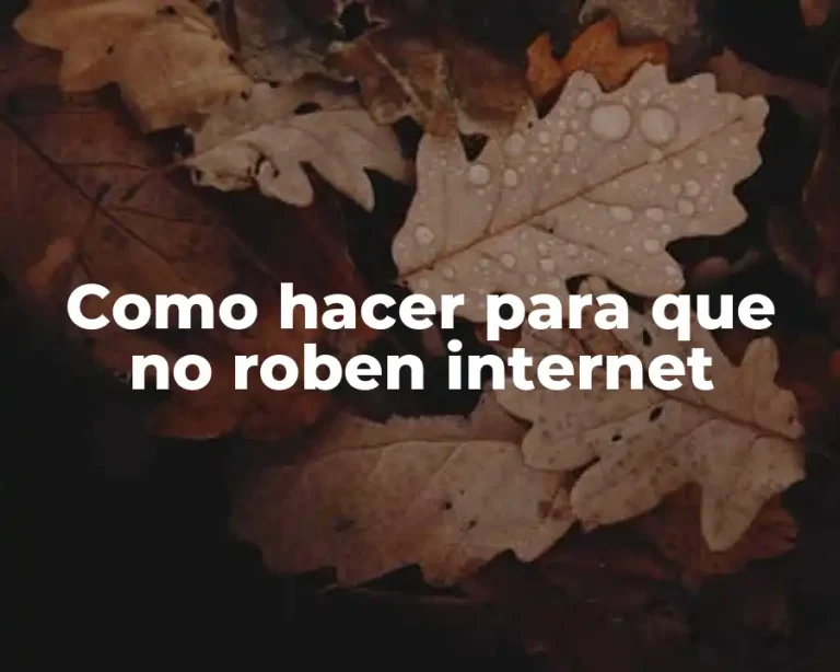Como hacer para que no roben internet