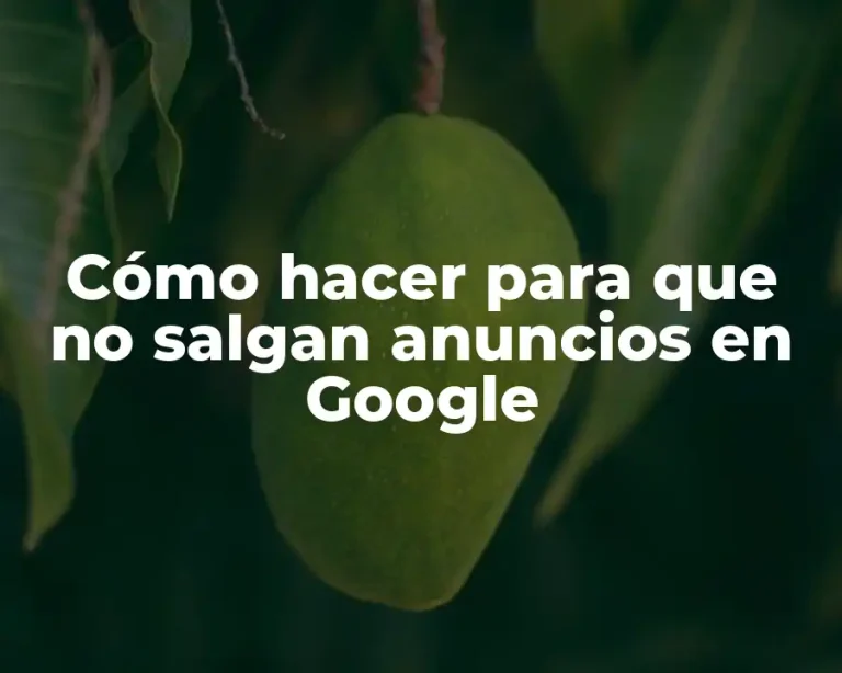 Cómo hacer para que no salgan anuncios en Google