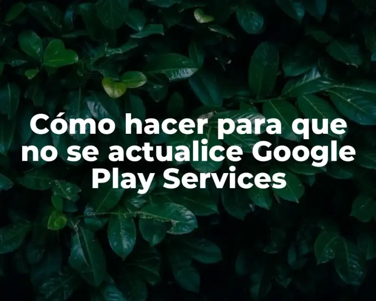 Cómo hacer para que no se actualice Google Play Services