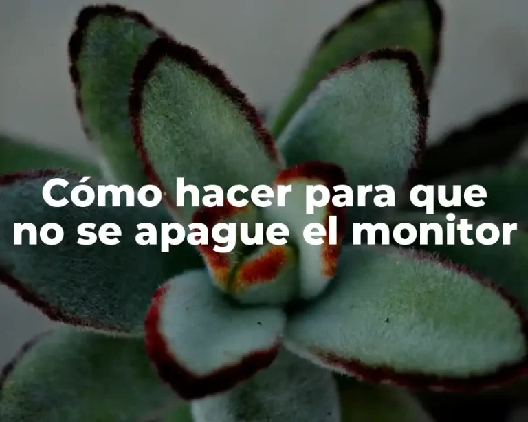 Cómo hacer para que no se apague el monitor