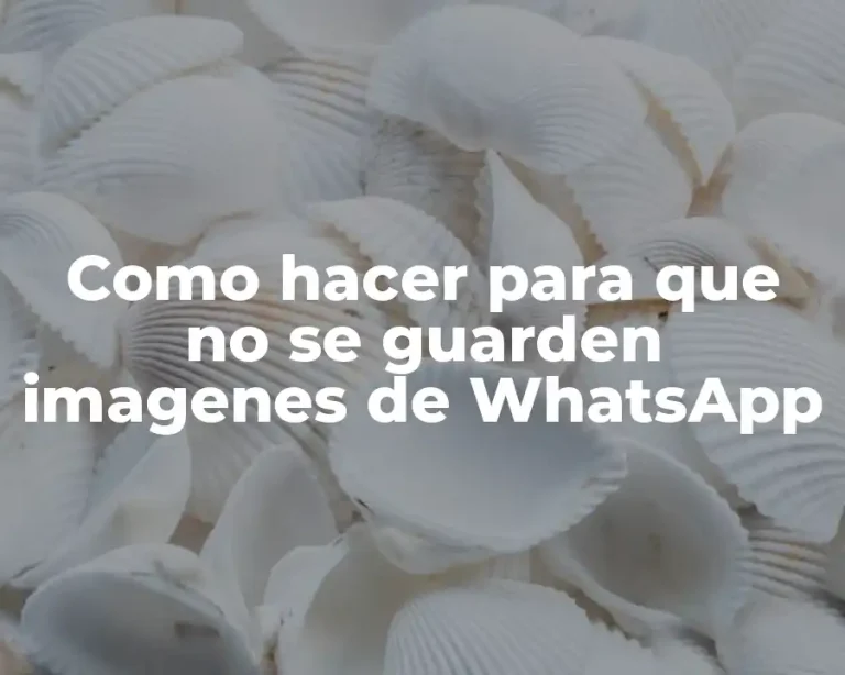 Como hacer para que no se guarden imagenes de WhatsApp