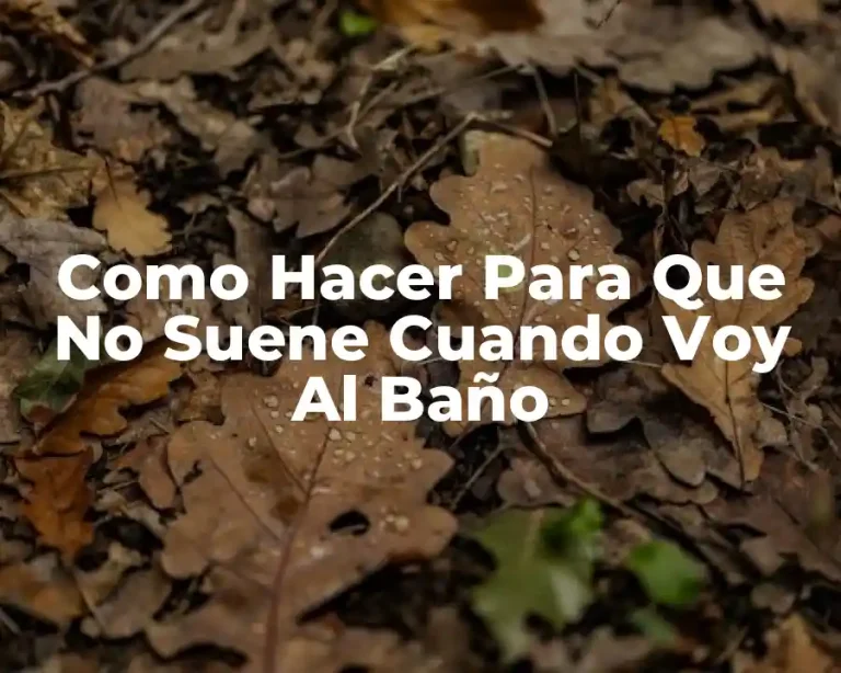 Como Hacer Para Que No Suene Cuando Voy Al Baño
