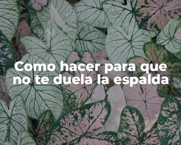 Como hacer para que no te duela la espalda