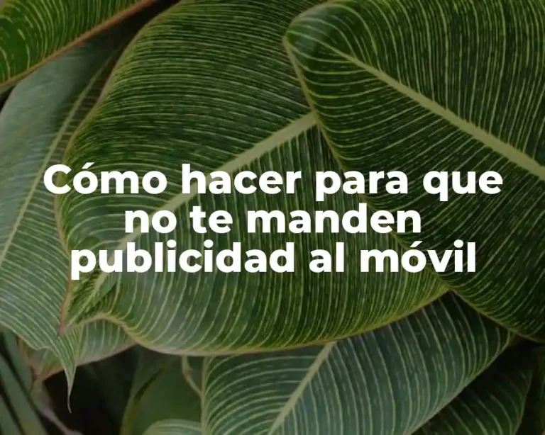 Cómo hacer para que no te manden publicidad al móvil