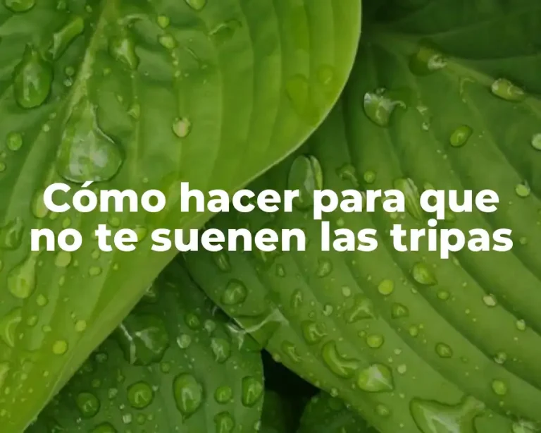 Cómo hacer para que no te suenen las tripas