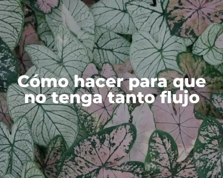 Cómo hacer para que no tenga tanto flujo