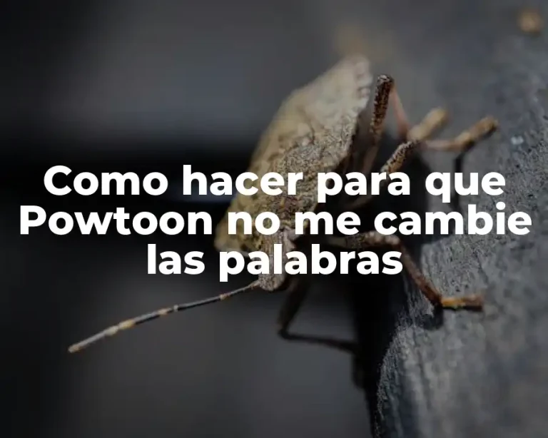 Como hacer para que Powtoon no me cambie las palabras