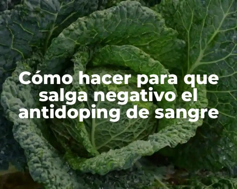 Cómo hacer para que salga negativo el antidoping de sangre