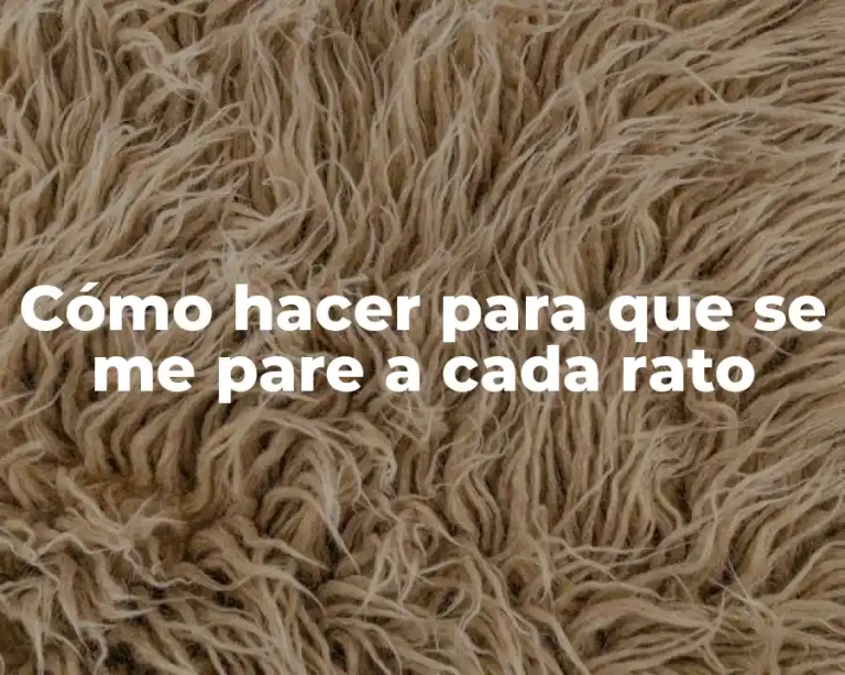 Cómo hacer para que se me pare a cada rato