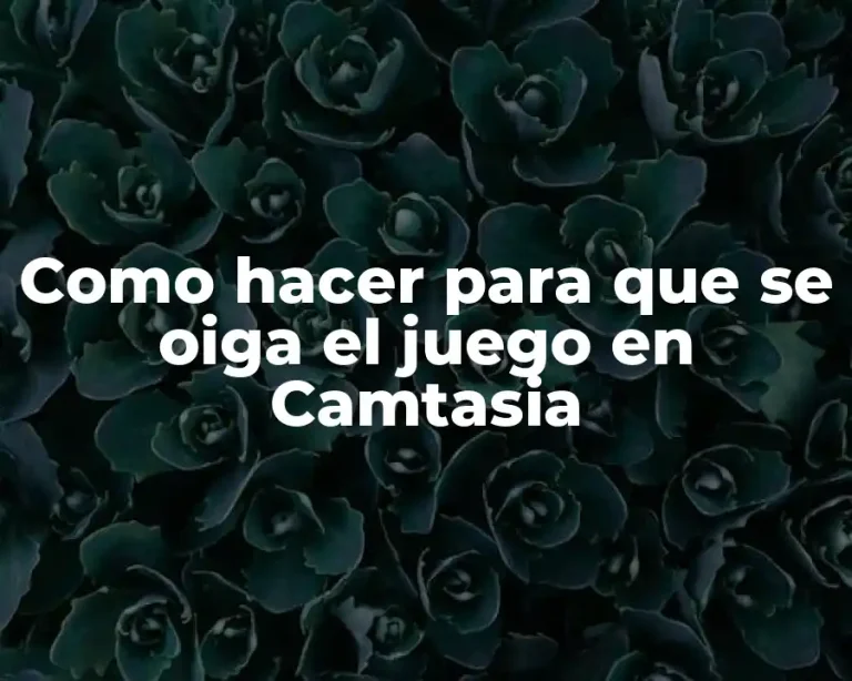 Como hacer para que se oiga el juego en Camtasia