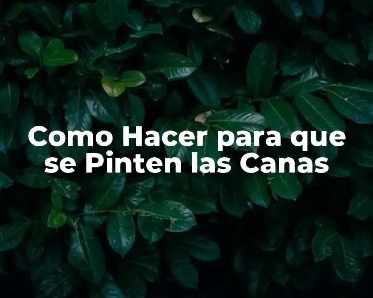 Como Hacer para que se Pinten las Canas