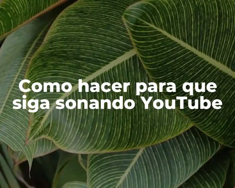 Como hacer para que siga sonando YouTube