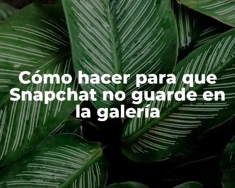 Cómo hacer para que Snapchat no guarde en la galería