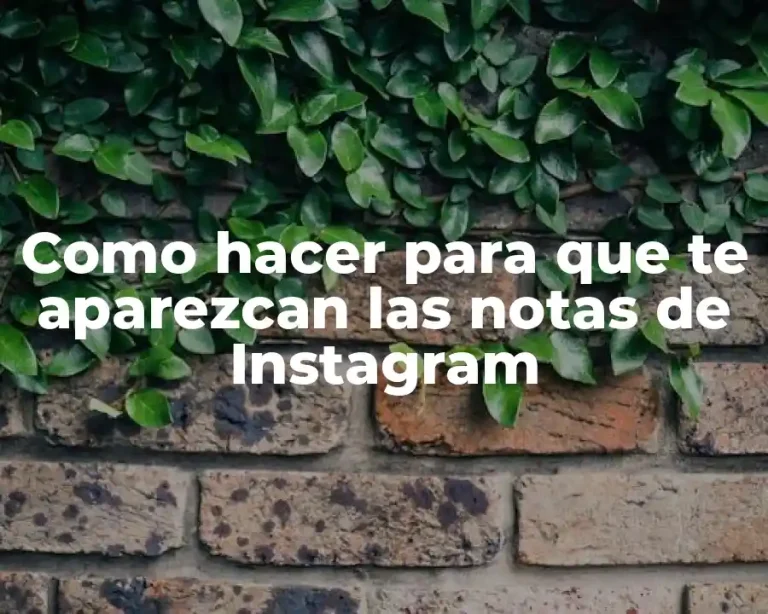 Como hacer para que te aparezcan las notas de Instagram