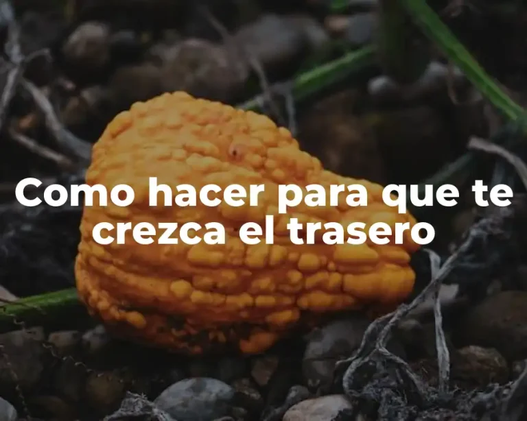 Como hacer para que te crezca el trasero