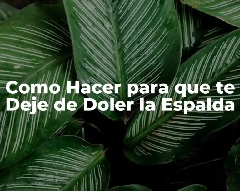 Como Hacer para que te Deje de Doler la Espalda