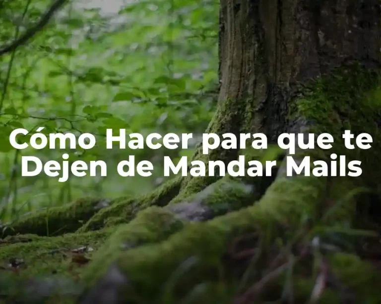 Cómo Hacer para que te Dejen de Mandar Mails
