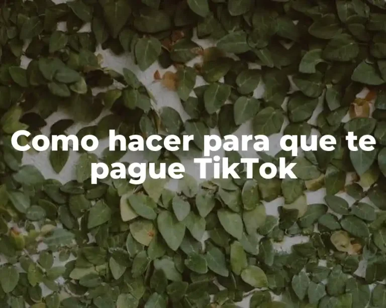 Como hacer para que te pague TikTok