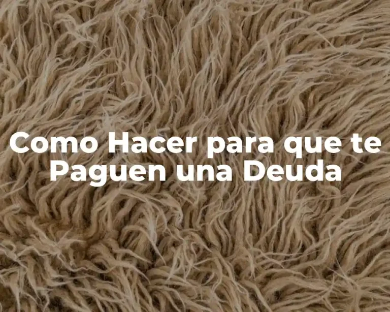 Como Hacer para que te Paguen una Deuda
