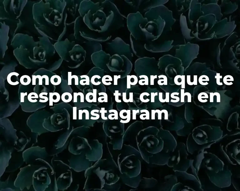 Como hacer para que te responda tu crush en Instagram