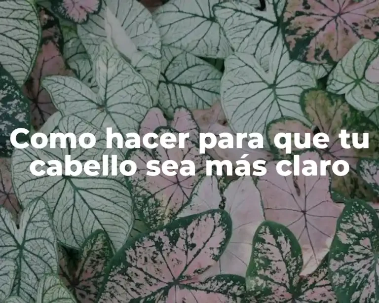 Como hacer para que tu cabello sea más claro