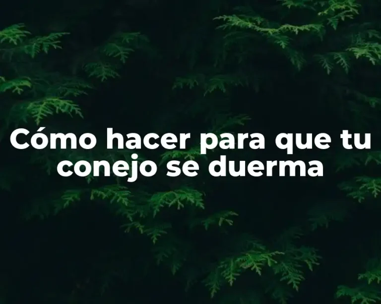 Cómo hacer para que tu conejo se duerma