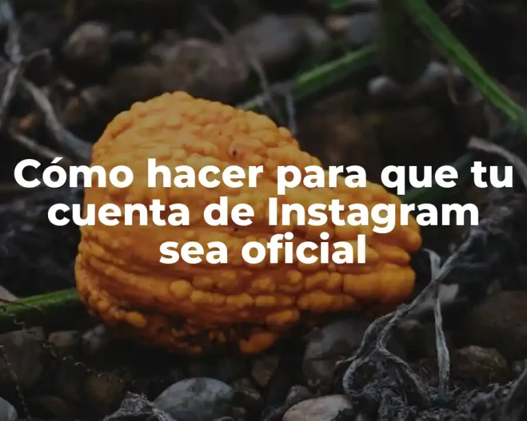 Cómo hacer para que tu cuenta de Instagram sea oficial