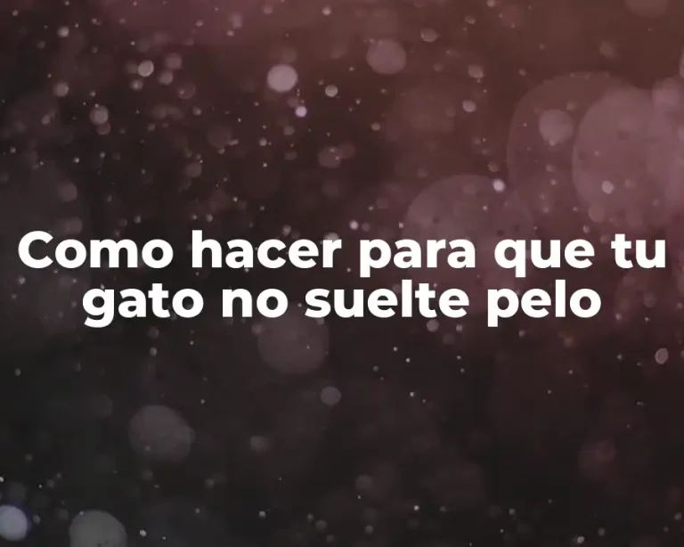 Como hacer para que tu gato no suelte pelo