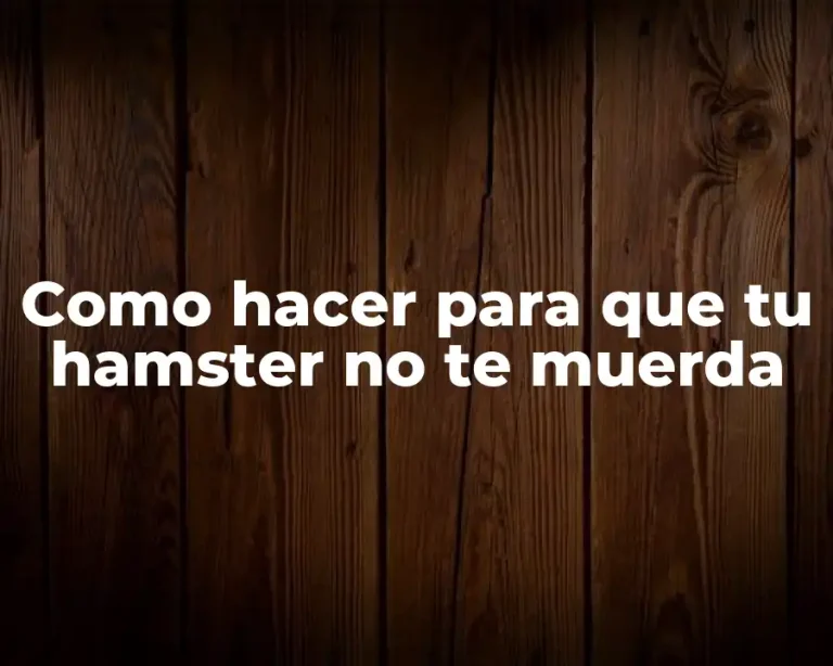 Como hacer para que tu hamster no te muerda