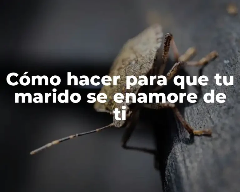 Cómo hacer para que tu marido se enamore de ti