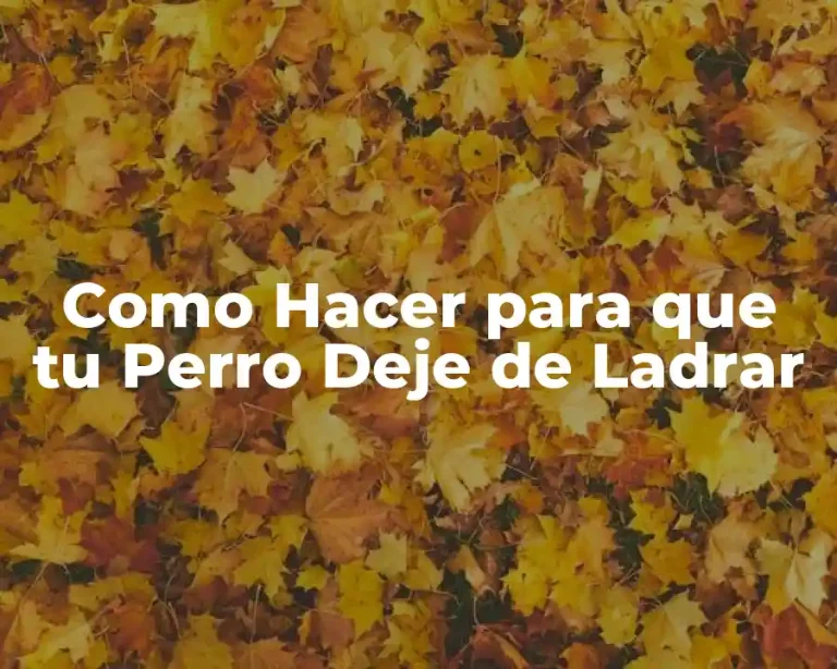 Como Hacer para que tu Perro Deje de Ladrar