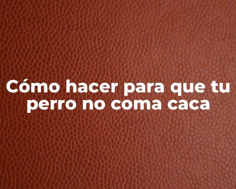 Cómo hacer para que tu perro no coma caca